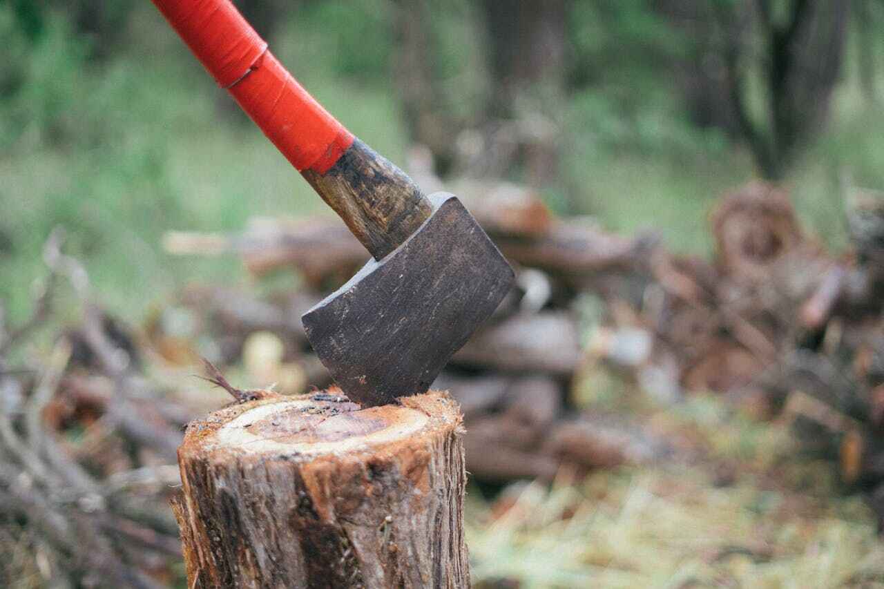 Best Stump Grinding Near Me  in USA